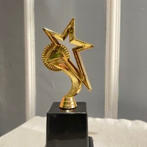 Piala Eksklusif Juara Lomba Baca Puisi