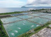 Tambak Anda Selalu Rugi? Inilah Cara Cerdas Hemat Biaya Perawatan dengan Material Anti-Karat!
