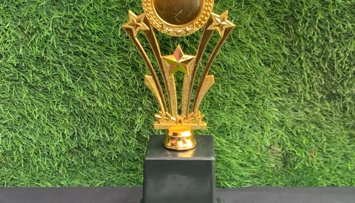 Lebih dari Sekadar Pajangan: Mengapa Piala Berkualitas Adalah Bentuk Apresiasi Tertinggi bagi Pemenang
