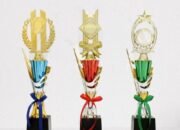 Jangan Asal Pilih! Ini Dia Rahasia Memilih Figur Piala Detail dan Modern yang Memukau