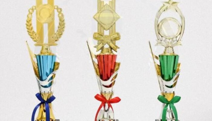 Jangan Asal Pilih! Ini Dia Rahasia Memilih Figur Piala Detail dan Modern yang Memukau